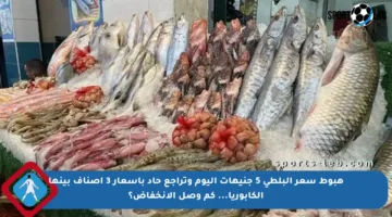 هبوط سعر البلطي 5 جنيهات اليوم وتراجع حاد بأسعار 3 أصناف بينها الكابوريا… كم وصل الانخفاض؟